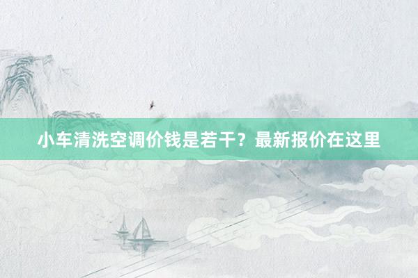 小车清洗空调价钱是若干？最新报价在这里